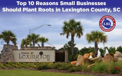 Top 10 Reasons Small Businesses Should Plant Roots in Lexington County, SC