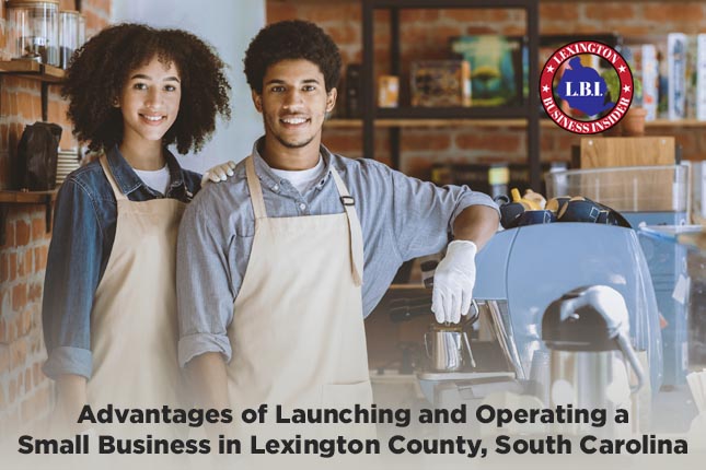 Advantages of Launching and Operating a Small Business in Lexington County, South Carolina