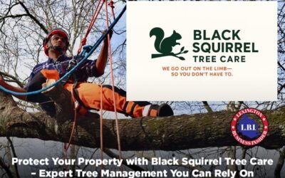 Protect Your Property with Black Squirrel Tree Care – Expert Tree Management You Can Rely On