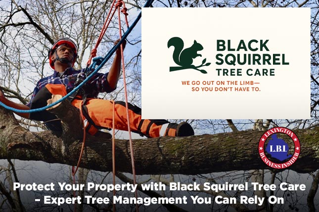 Protect Your Property with Black Squirrel Tree Care – Expert Tree Management You Can Rely On