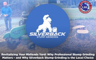 Revitalizing Your Midlands Yard: Why Professional Stump Grinding Matters – and Why Silverback Stump Grinding is the Local Choice